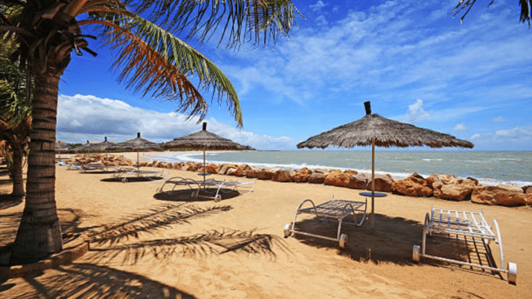 Des transats blancs sous des parasols en paille sur une plage de sable fin bordée de palmiers au Sénégal.