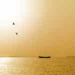 Silhouette d'une pirogue seule sur les eaux d'un bolong en Casamance sous un ciel doré avec deux oiseaux.