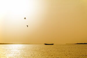 Silhouette d'une pirogue seule sur les eaux d'un bolong en Casamance sous un ciel doré avec deux oiseaux.