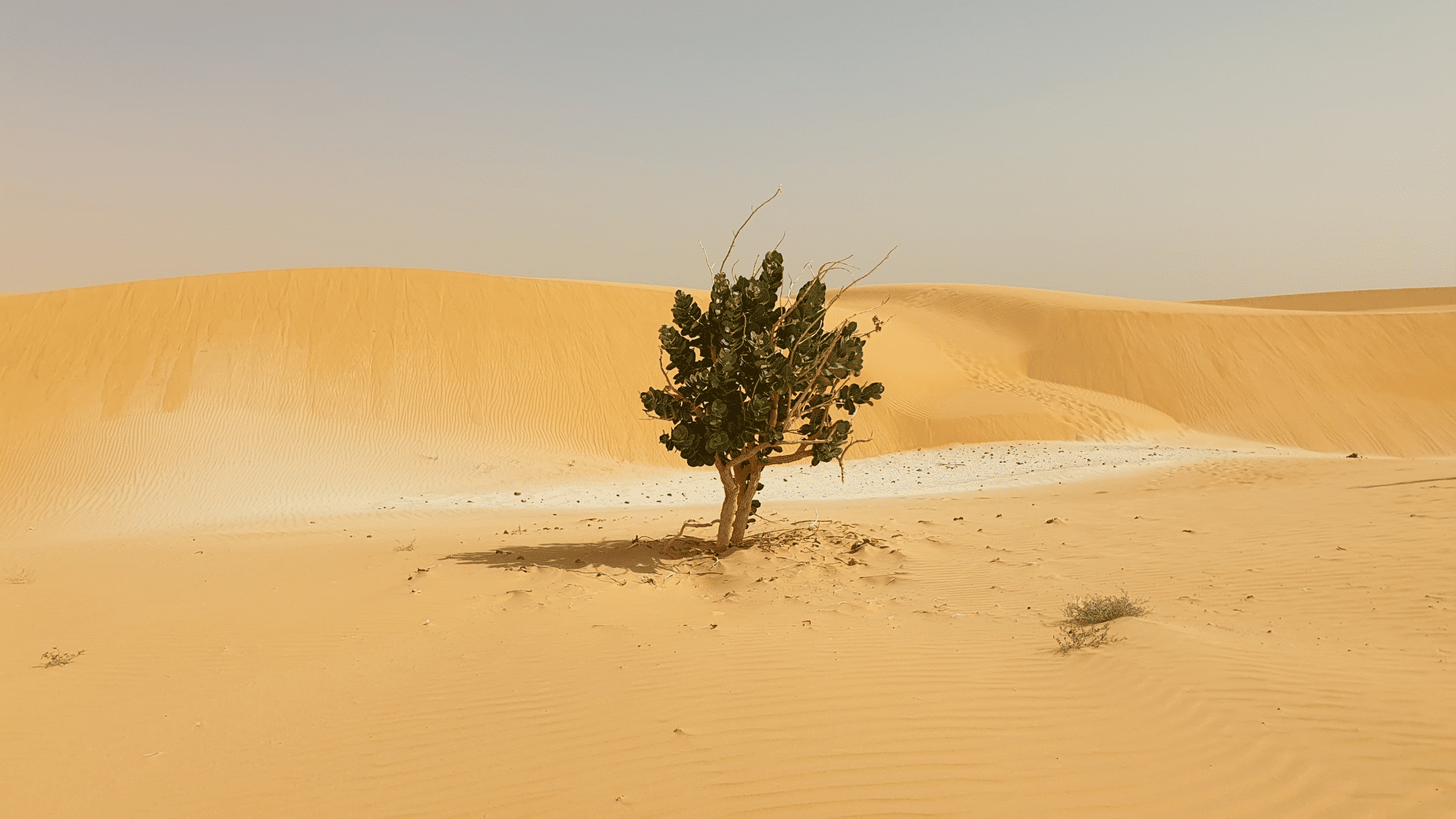 Plage de sable blanc au Cap-Vert en septembre