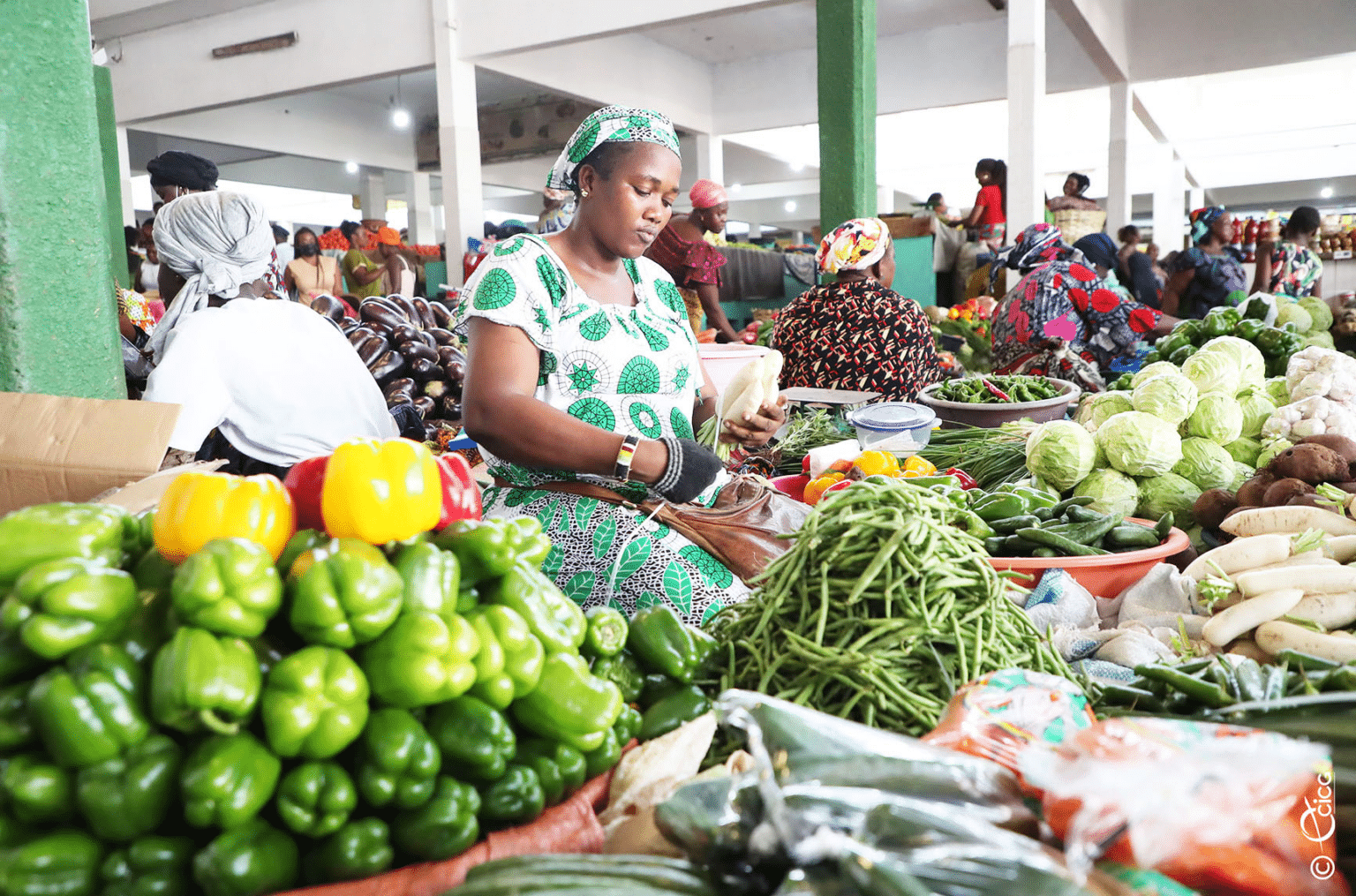 Scène intérieure du marché de Treichville à Abidjan, montrant des vendeuses et des étals de légumes frais et colorés.