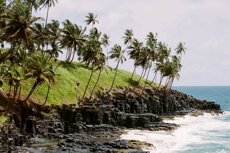 Des cocotiers inclinés sur une colline verdoyante dominant des rochers noirs et l'océan à Sao Tomé.