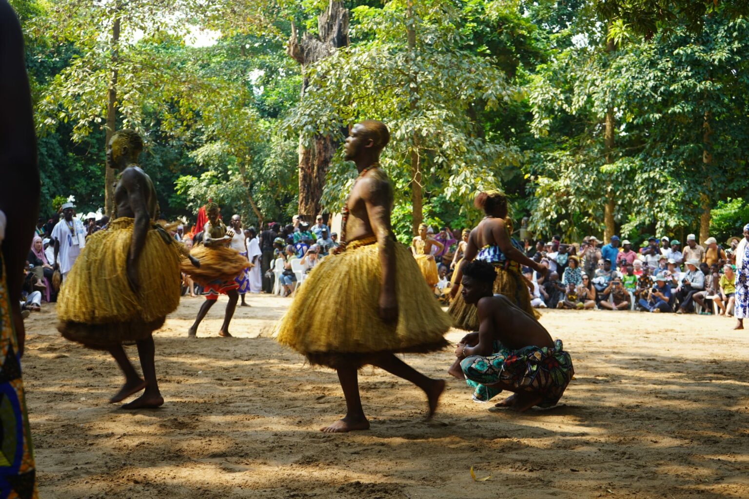 Danseurs traditionnels béninois torse nu portant des jupes volumineuses en raphia lors d'une cérémonie en plein air.