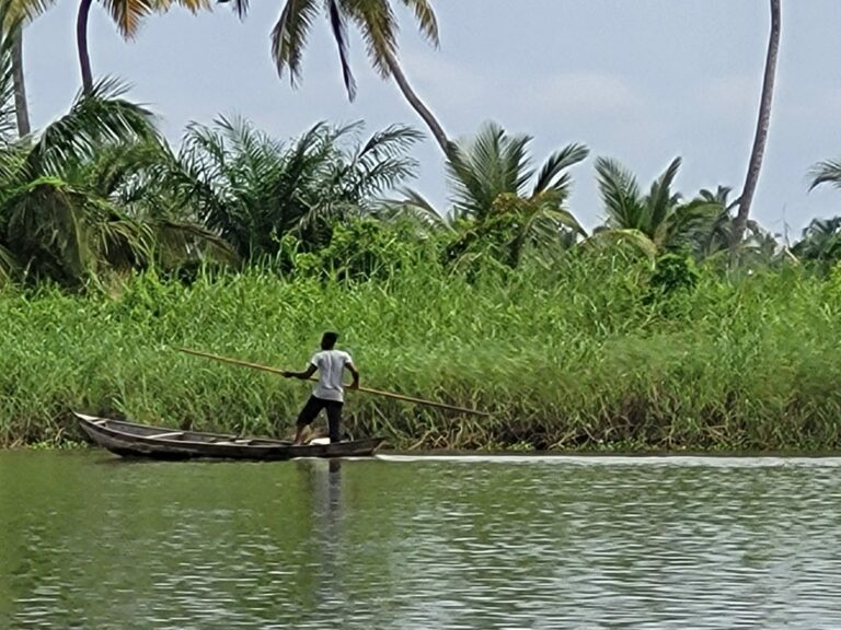 Homme en pirogue naviguant sur une rivière bordée de palmiers au Bénin, près de Ganvié ou Grand-Popo.