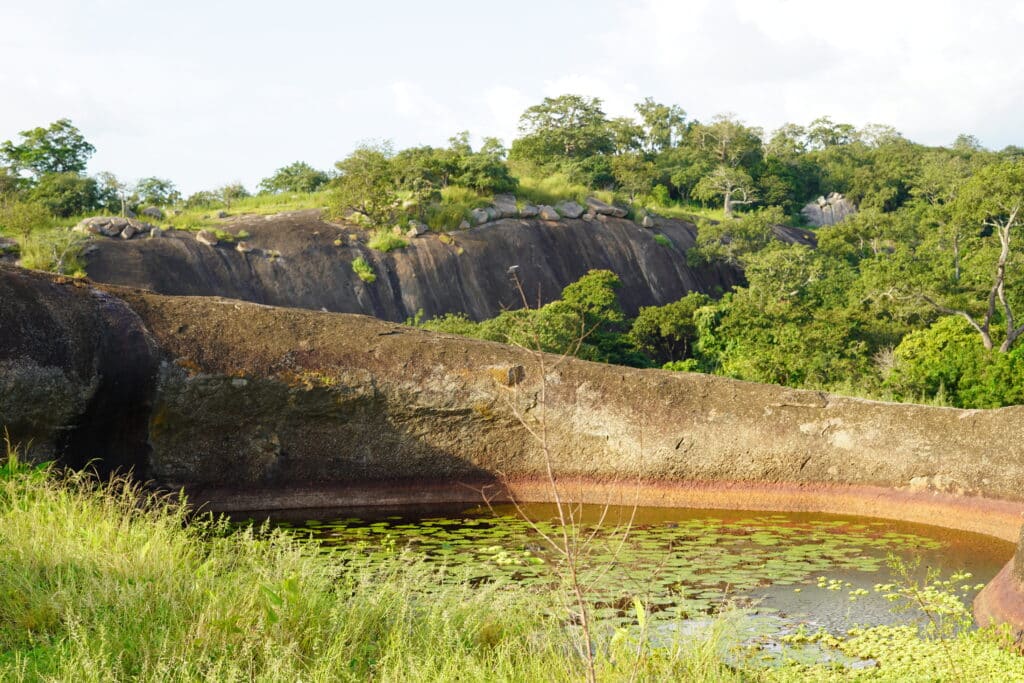 Petit étang naturel rempli de nénuphars situé au sommet d'une colline rocheuse à Dassa-Zoumè, Bénin.