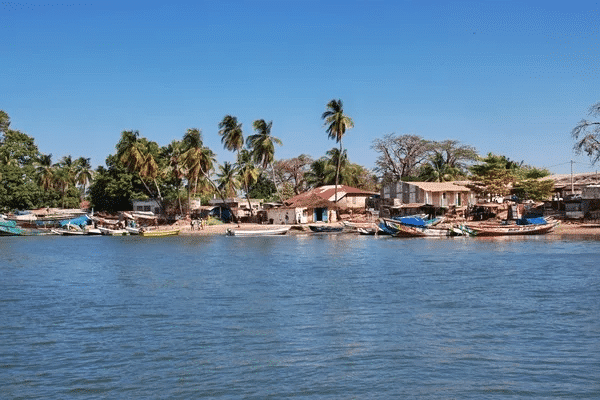 Des pirogues colorées amarrées sur le rivage d'un village de Casamance bordé de palmiers et de baobabs.