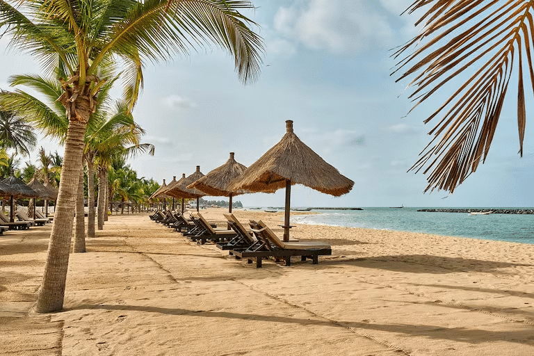Une rangée de parasols en paille et de transats en bois sur une plage de sable fin bordée de palmiers au Sénégal.
