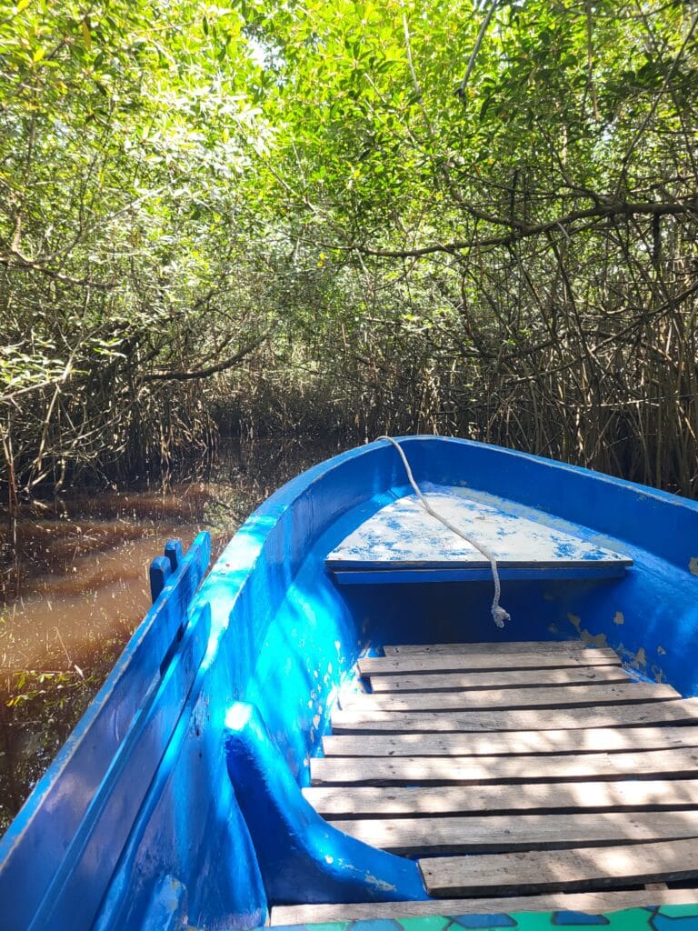 Barque bleue traversant une mangrove luxuriante au Bénin, glissant paisiblement sur l’eau entre les racines denses des palétuviers.