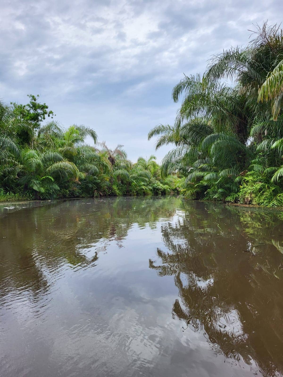 Excursion en pirogue à Adjarra, Bénin