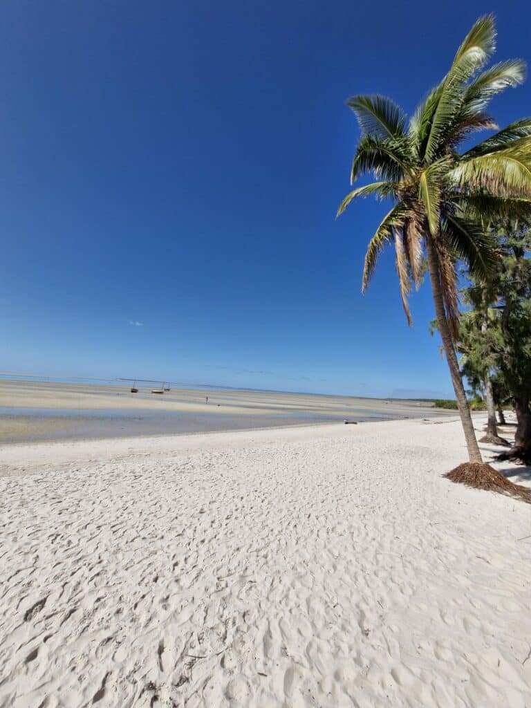 Une plage de sable blanc déserte bordée de palmiers et d'une mer turquoise cristalline au Mozambique.