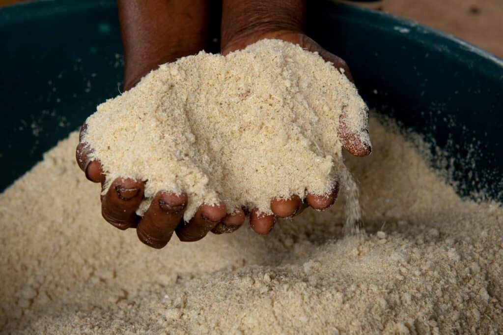 Deux mains noires tiennent du gari fraîchement préparé au-dessus d’une grande bassine remplie de cette semoule de manioc.