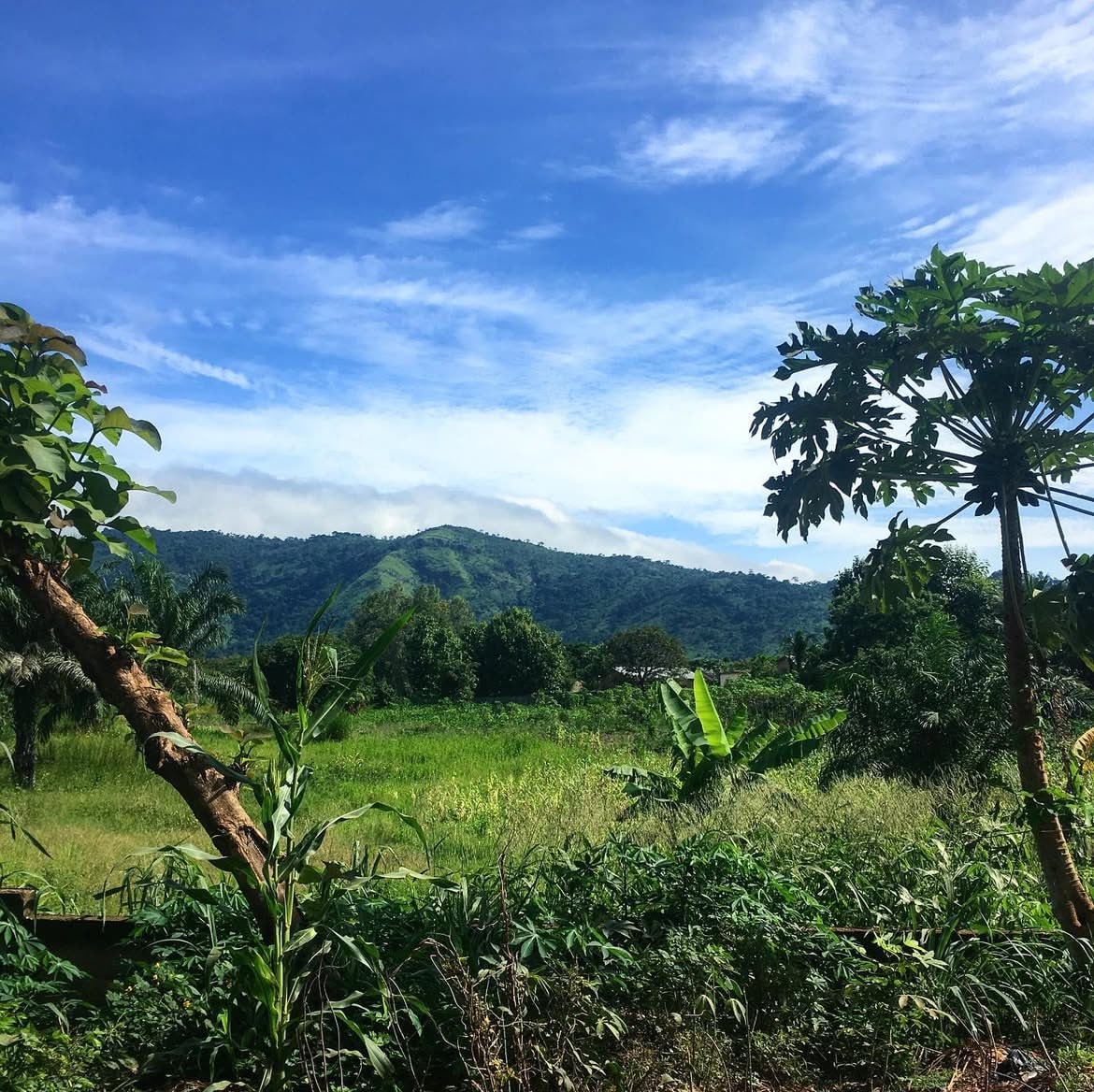 Randonnée et culture à Kpalimé – excursion à la journée