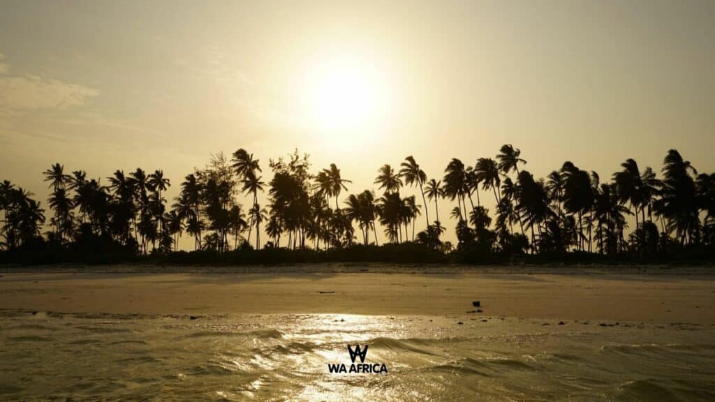 Coucher de soleil sur une plage bordée de palmiers, avec le logo WA AFRICA au premier plan.