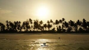 Coucher de soleil sur une plage bordée de palmiers, avec le logo WA AFRICA au premier plan.