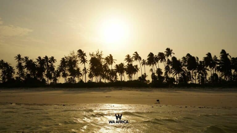 Coucher de soleil sur une plage bordée de palmiers, avec le logo WA AFRICA au premier plan.