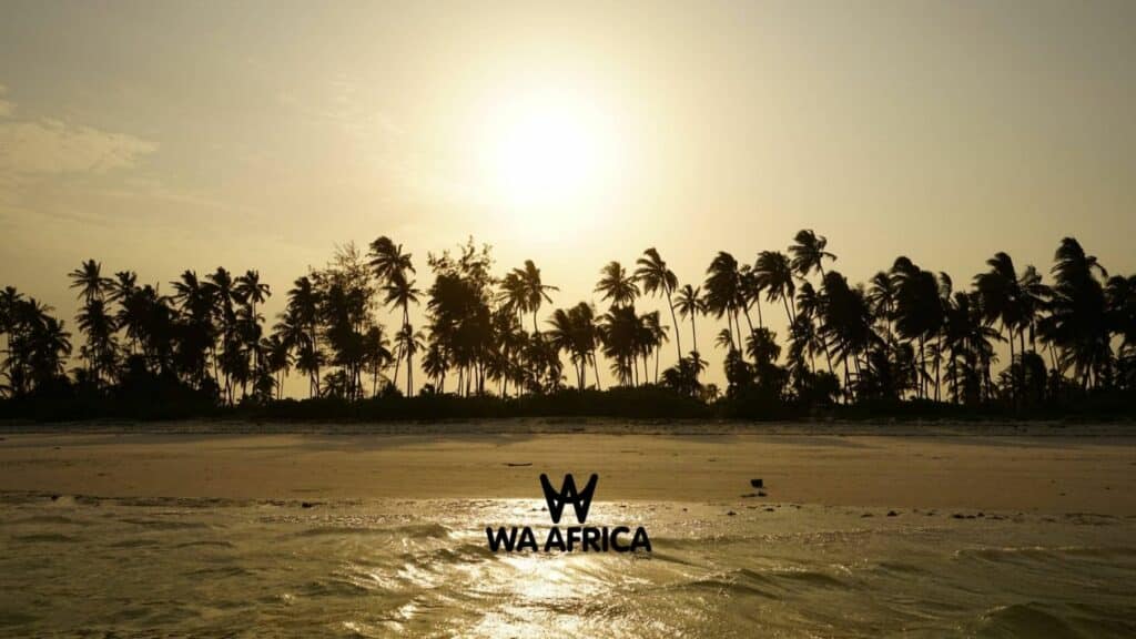 Coucher de soleil sur une plage bordée de palmiers, avec le logo WA AFRICA au premier plan.