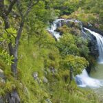 Vue latérale des chutes de Kota avec des cascades d'eau vive se déversant sur des rochers escarpés au milieu d'une végétation sauvage et d'arbres tropicaux, Natitingou, Bénin.