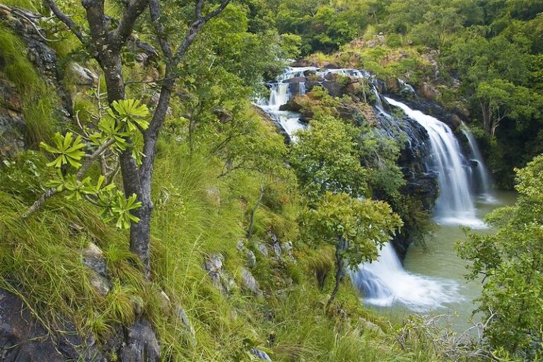 Vue latérale des chutes de Kota avec des cascades d'eau vive se déversant sur des rochers escarpés au milieu d'une végétation sauvage et d'arbres tropicaux, Natitingou, Bénin.