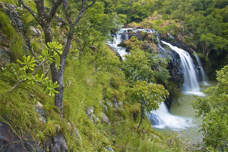 Vue latérale des chutes de Kota avec des cascades d'eau vive se déversant sur des rochers escarpés au milieu d'une végétation sauvage et d'arbres tropicaux, Natitingou, Bénin.