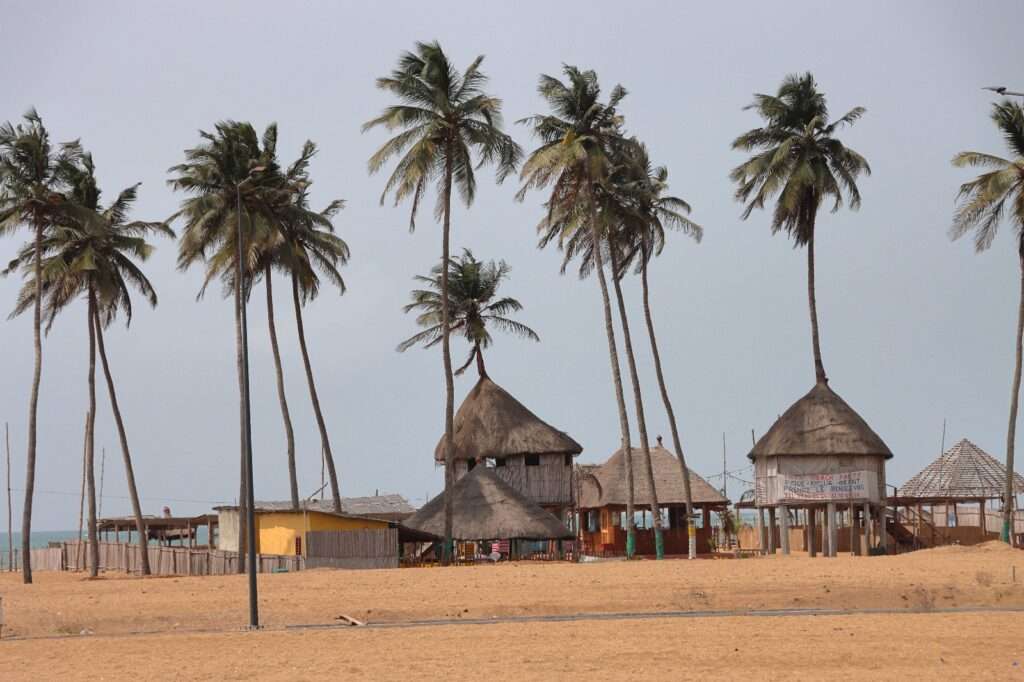 Maisons de plage traditionnelles en paille et bois sous de hauts palmiers sur le sable fin de la Route des Pêches au Bénin.