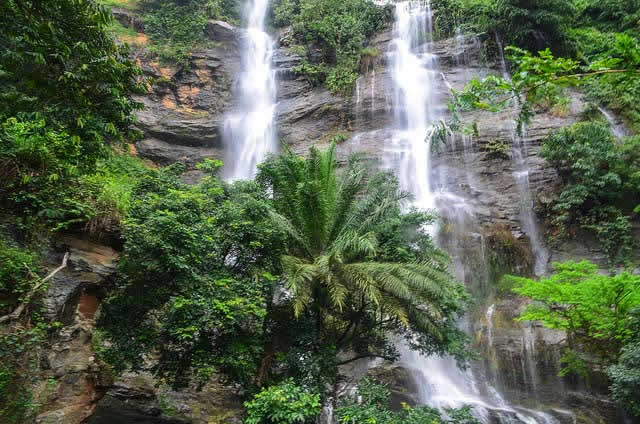 Vue imprenable sur la cascade de Womé à Kpalimé, au Togo, montrant plusieurs chutes d'eau s'écoulant sur une falaise rocheuse entourée d'une forêt tropicale luxuriante et de palmiers.