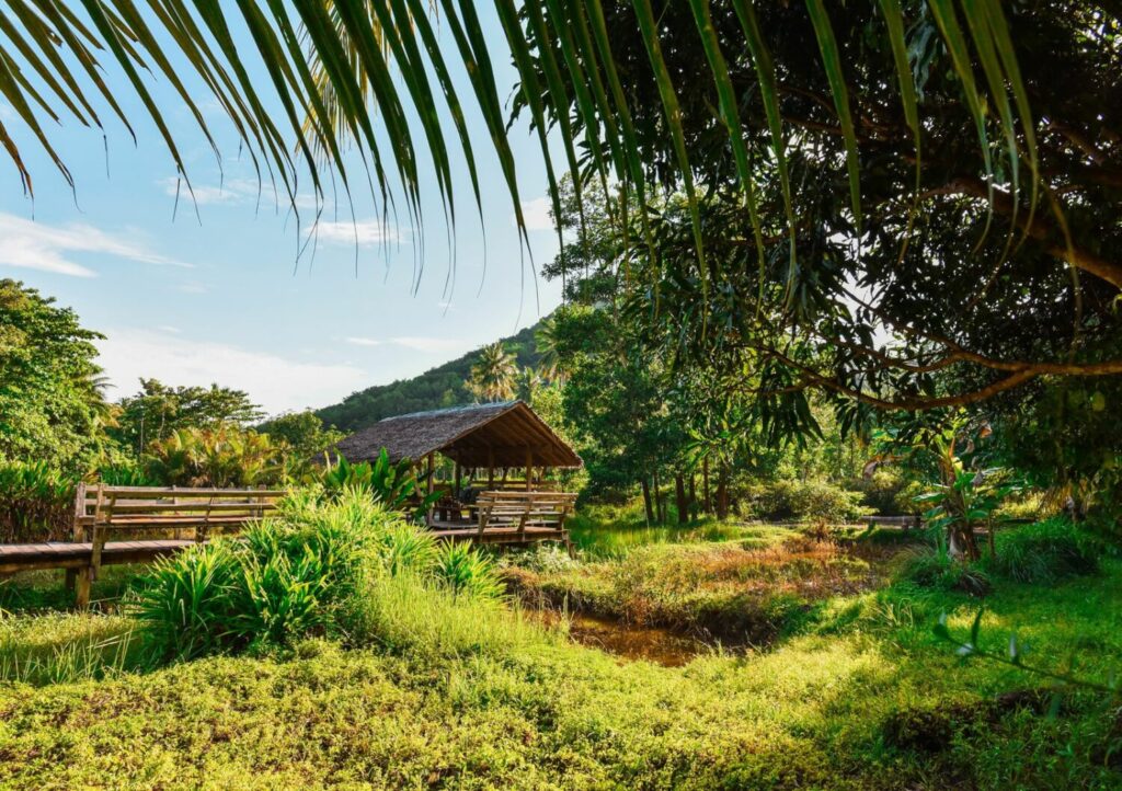 Vue sur une paillote en bois au bout d'un ponton, nichée dans une végétation luxuriante au Togo sous un ciel bleu.