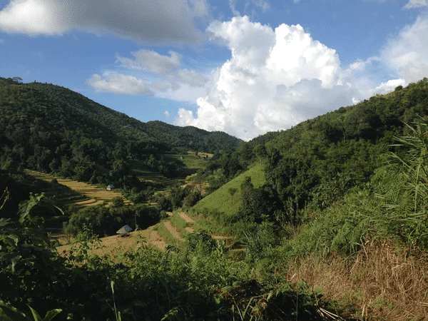 Paysage de collines verdoyantes avec des cultures en terrasses et de petites huttes sous un ciel nuageux au Togo.