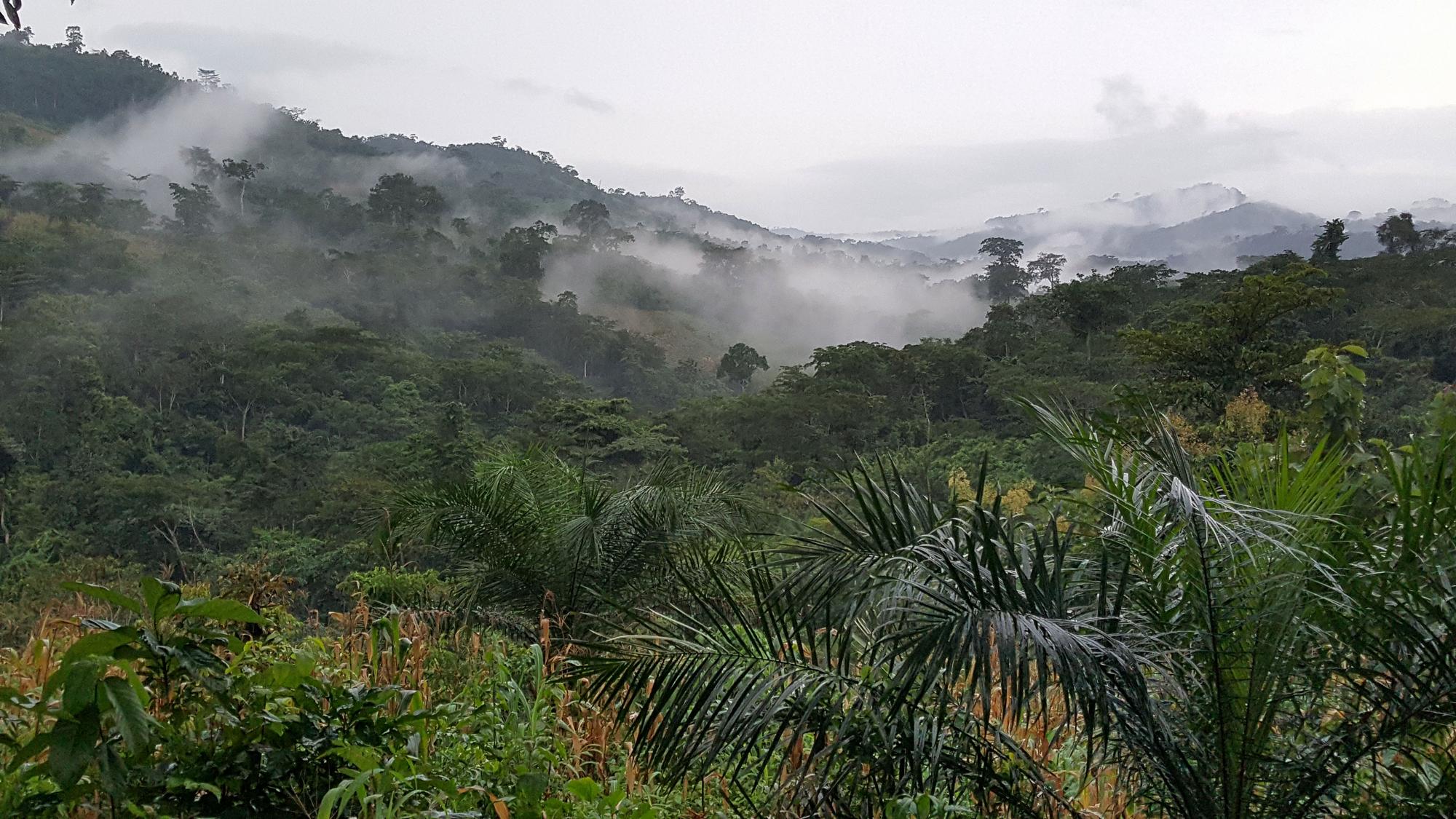 Paysage des montagnes du Togo — Wa Africa