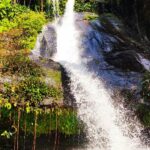 Une cascade naturelle jaillissant d'une paroi rocheuse sombre entourée d'une végétation tropicale dense et verdoyante dans la région des Plateaux au Togo.