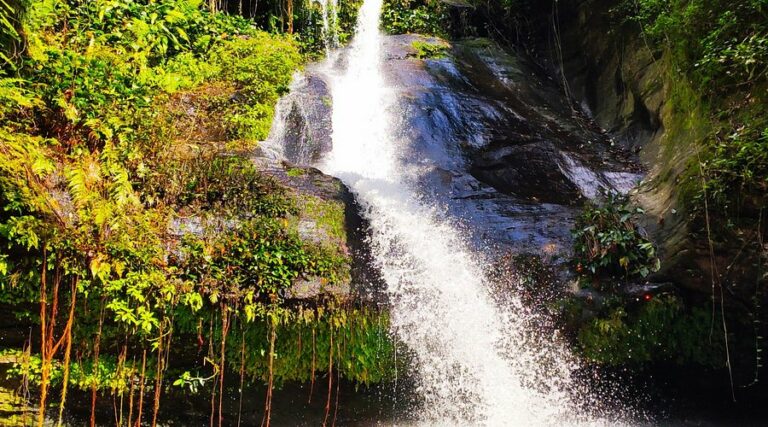 Une cascade naturelle jaillissant d'une paroi rocheuse sombre entourée d'une végétation tropicale dense et verdoyante dans la région des Plateaux au Togo.