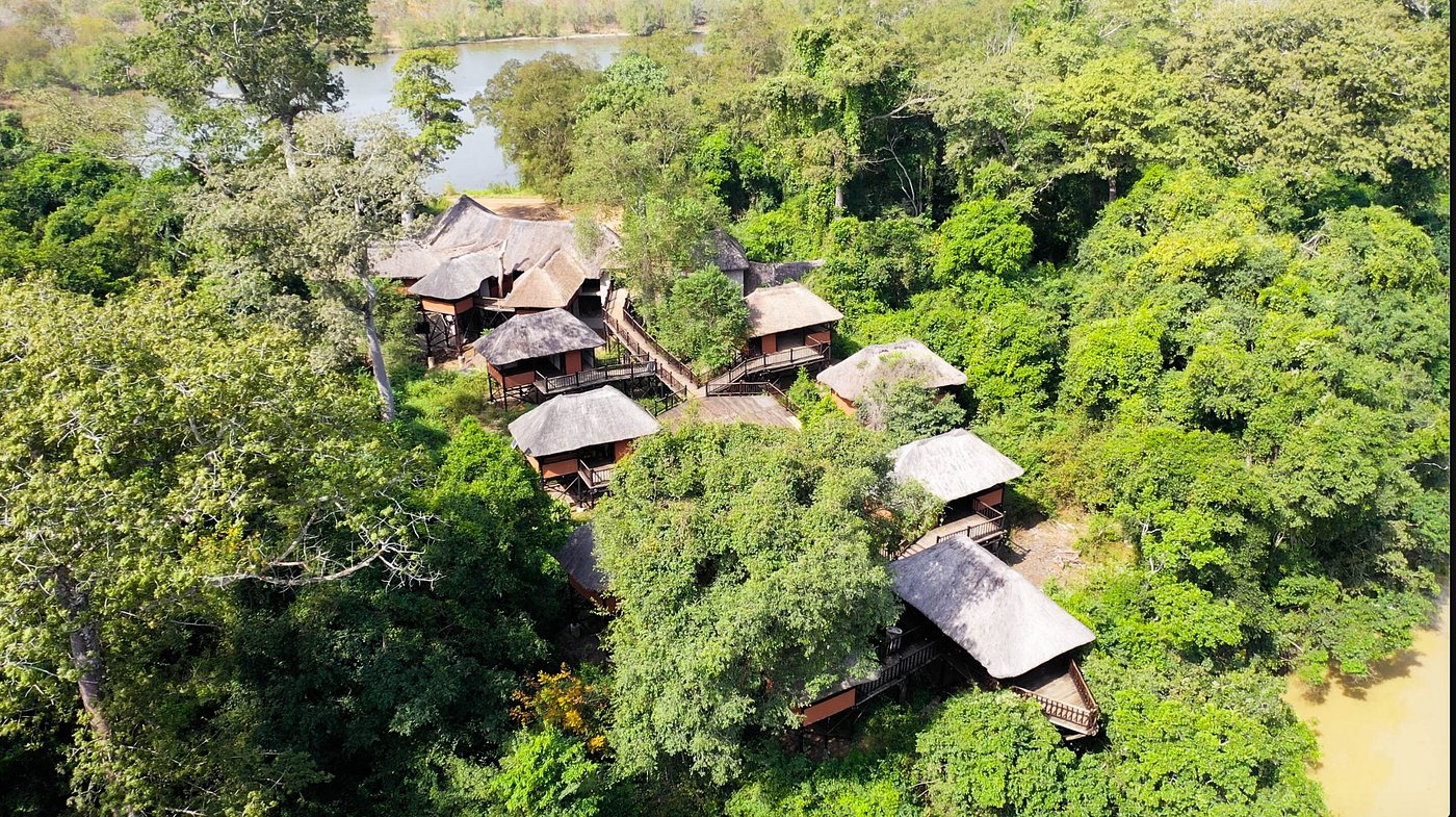 Vue aérienne d’un lodge niché au cœur d’une forêt tropicale en Côte d’Ivoire, avec plusieurs bungalows au toit de chaume entourés d’une végétation dense près d’un cours d’eau.