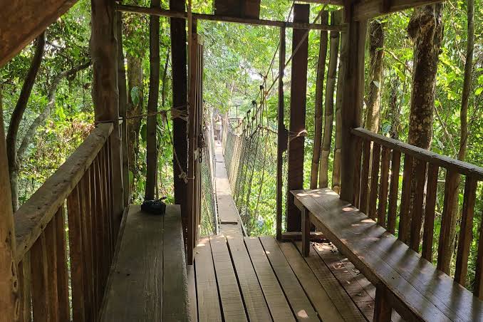Vue depuis une cabane en bois vers le pont suspendu de la canopée du Parc National de Kakum au Ghana.